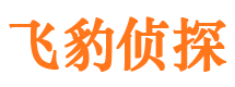 西山私家调查公司